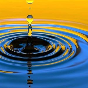 Meet your Posher, Lora